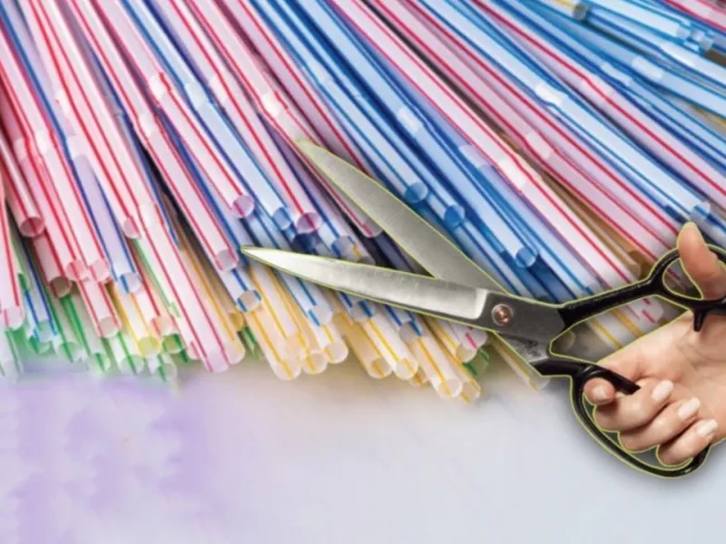 ایده خلاقانه کاردستی با نی نوشیدنی!