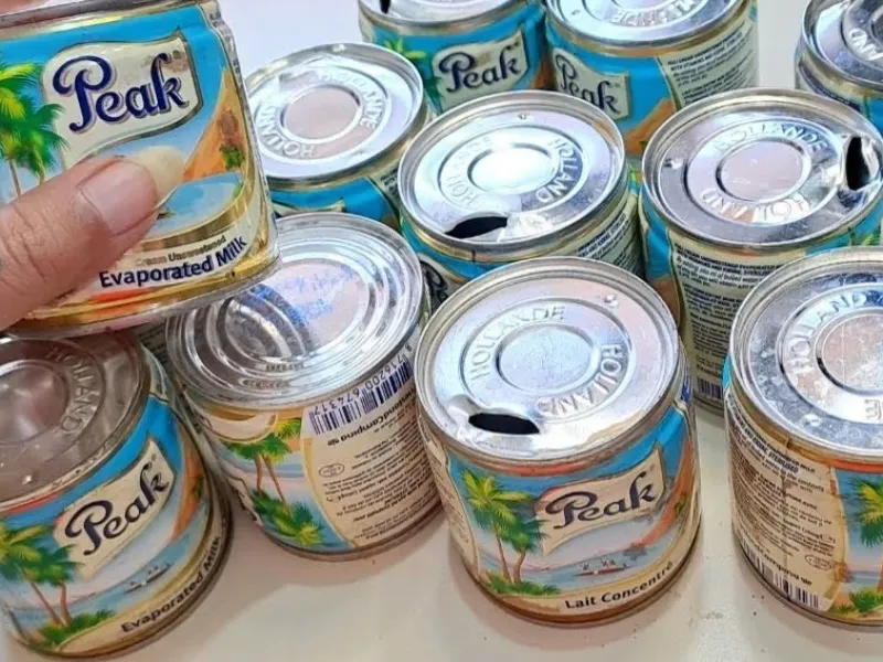 ساخت سازه های خلاقانه با قوطی های حلبی