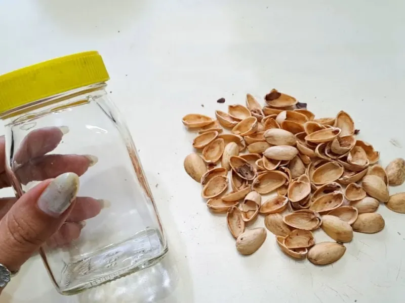 ایده های خلاقانه برای ساخت کاردستی با بطری قدیمی و پوست پسته !