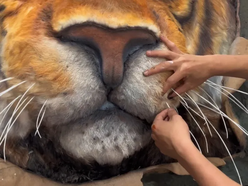 تماشا کنید چگونه ببری شبیه زنده خلق می کنیم که از قاب خارج می شود | هنر تایم لپس !