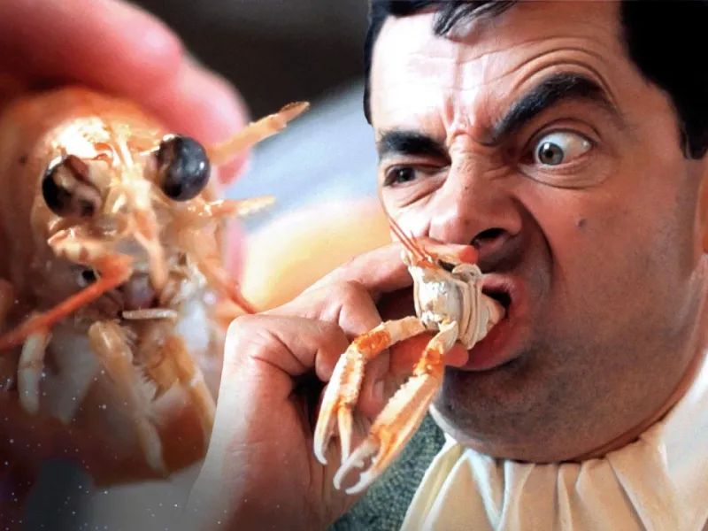 تعطیلات مستر بین | کابوس غذاهای دریایی پاریس !