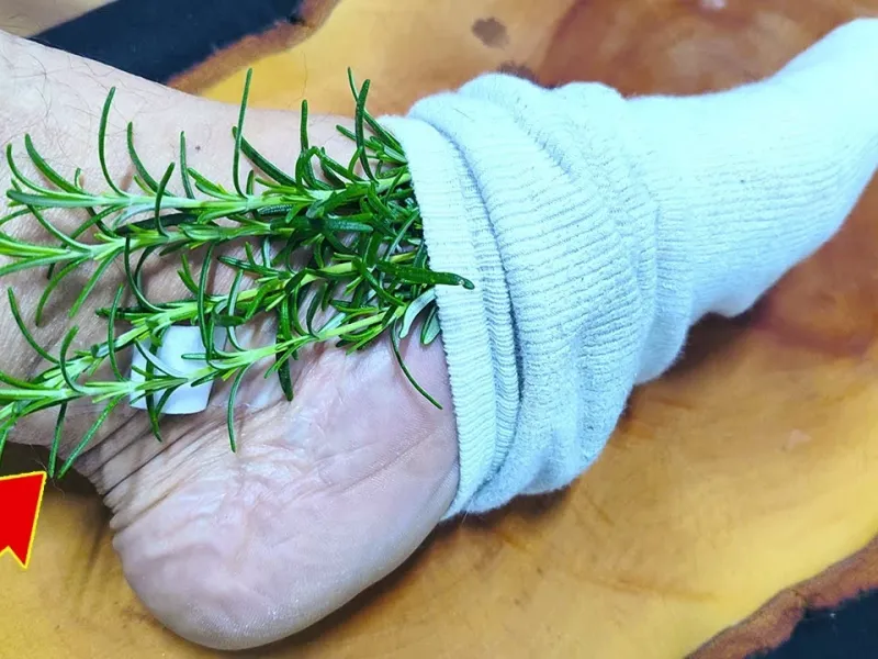 رزماری را روی پاهایت بگذار و از نتیجه آن شگفت زده شو!