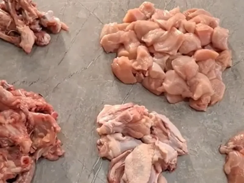 آموزش بی‌استخوان کردن مرغ و برش حرفه‌ای برای جوجه‌کباب 13 بدر!