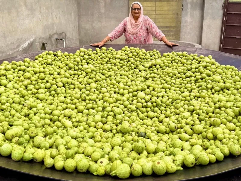 پخت کدو به سبک مادربزرگ هندی! پخت کدو به سبک مادربزرگ هندی!