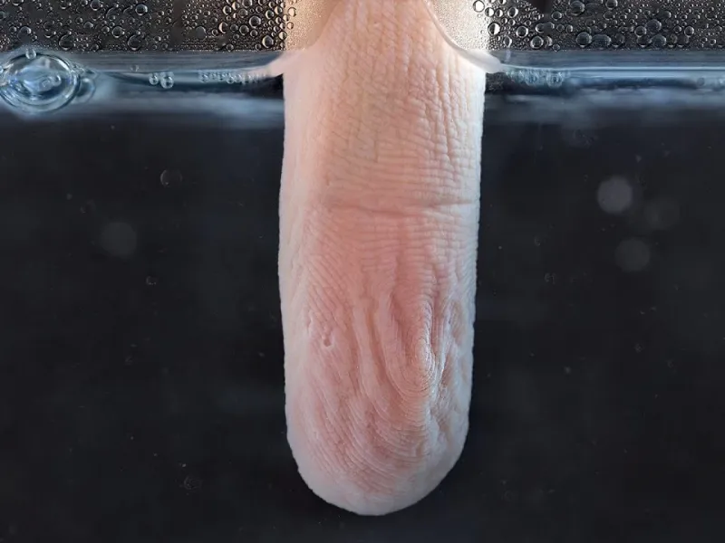 تایم لپس چروک شدن انگشت در آب !