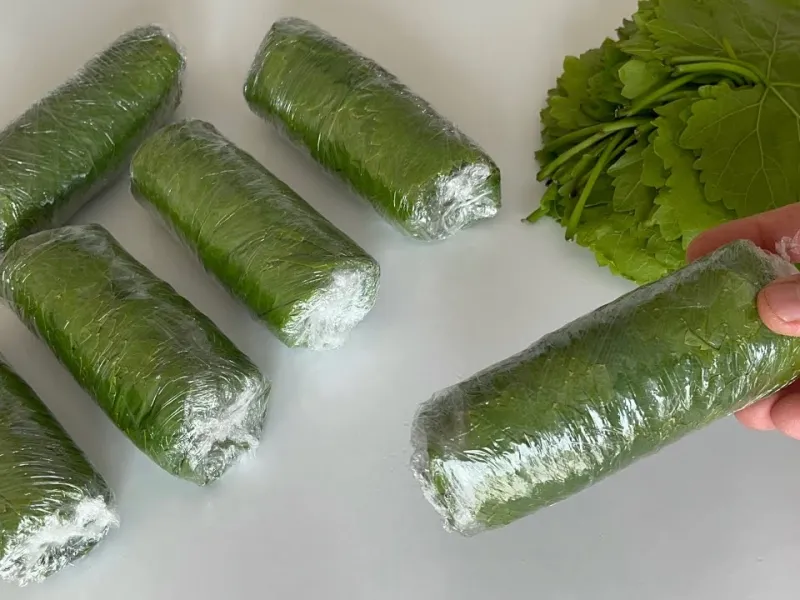 نحوه نگهداری برگ ها در فریزر / این روش شگفت انگیز است! (بدون نمک و بدون جوش)