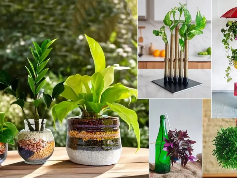 5 پروژه باغبانی داخلی مورد علاقه برای هر مکانی ! (مهم نیست کجا زندگی می کنید)