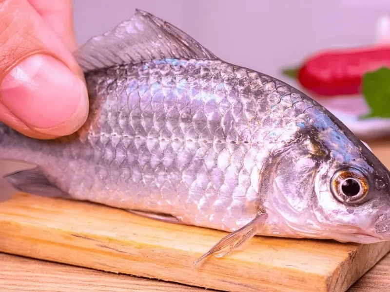 بهترین فیلم آشپزی مینیاتوری | طرز تهیه ماهی بخارپز مینیاتوری در مینی آشپزخانه!