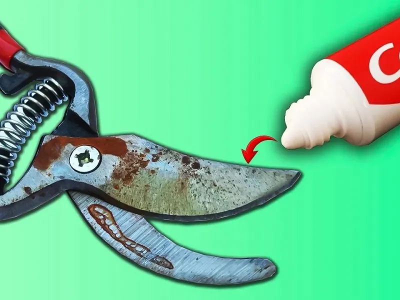 میلیون ها نفر باور نمی کنند که من چگونه قیچی را مانند تیغ تیز می کنم!