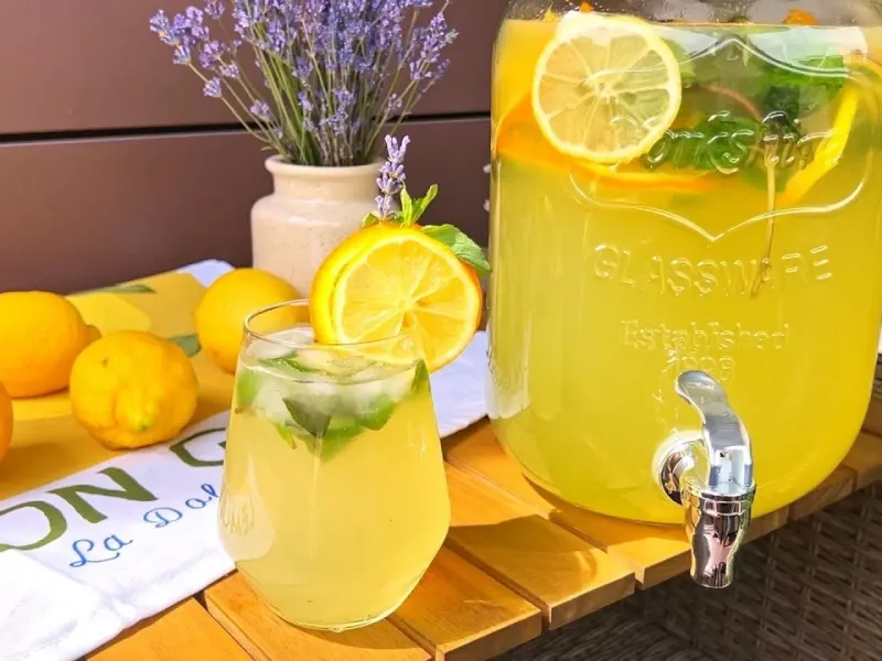 طرز تهیه لیموناد تابستانی بدون شکر/ دستور پخت آسان برای تهیه در خانه فقط در 3 دقیقه!