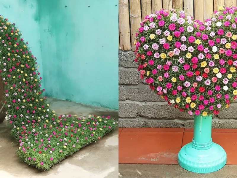 راز تکثیر سریع قلمه های گل کاغذی، ریشه زایی 100٪ موفق برای مبتدیان!